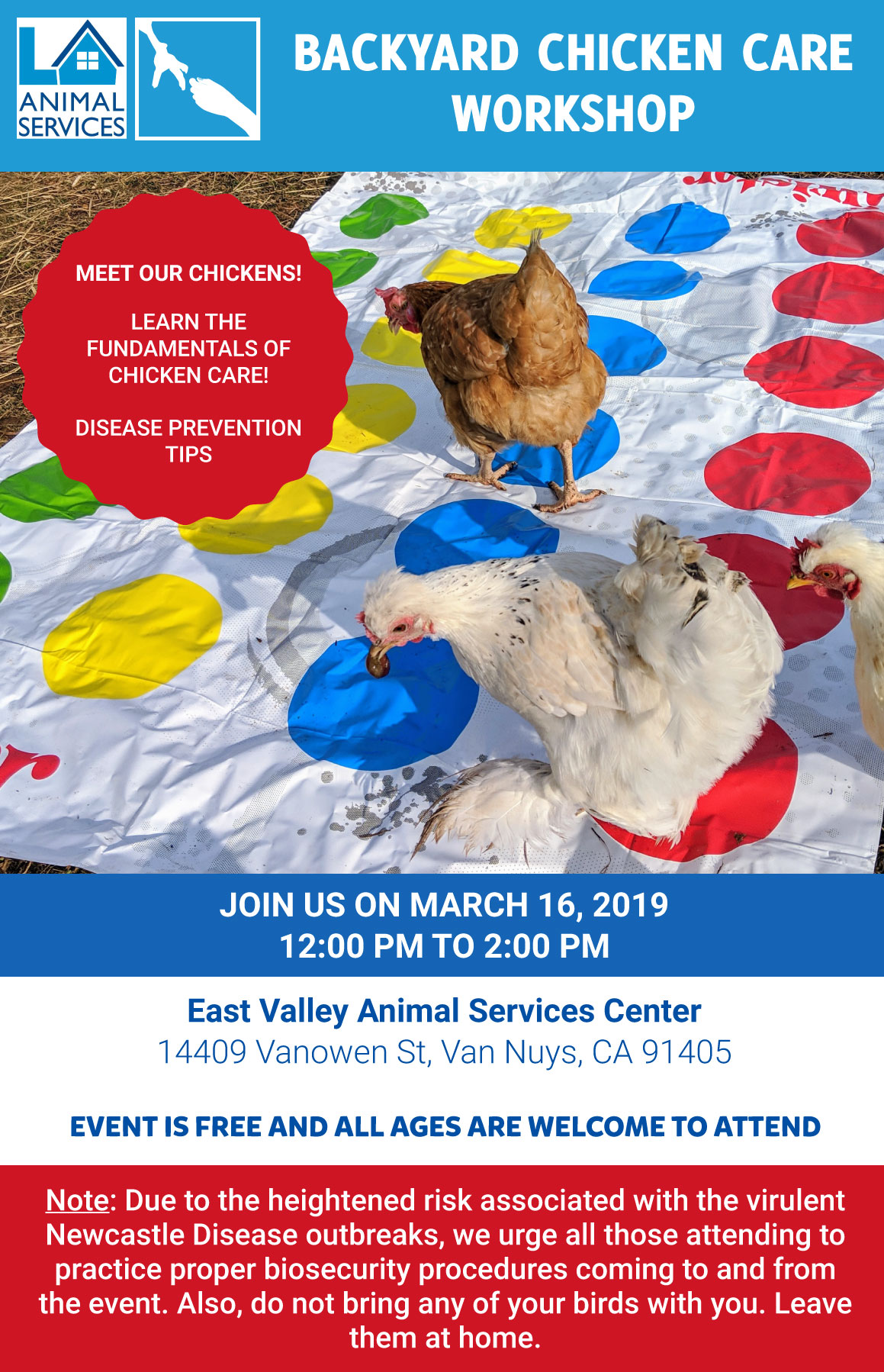 Los Angeles Backyard Chicken Workshop image preview