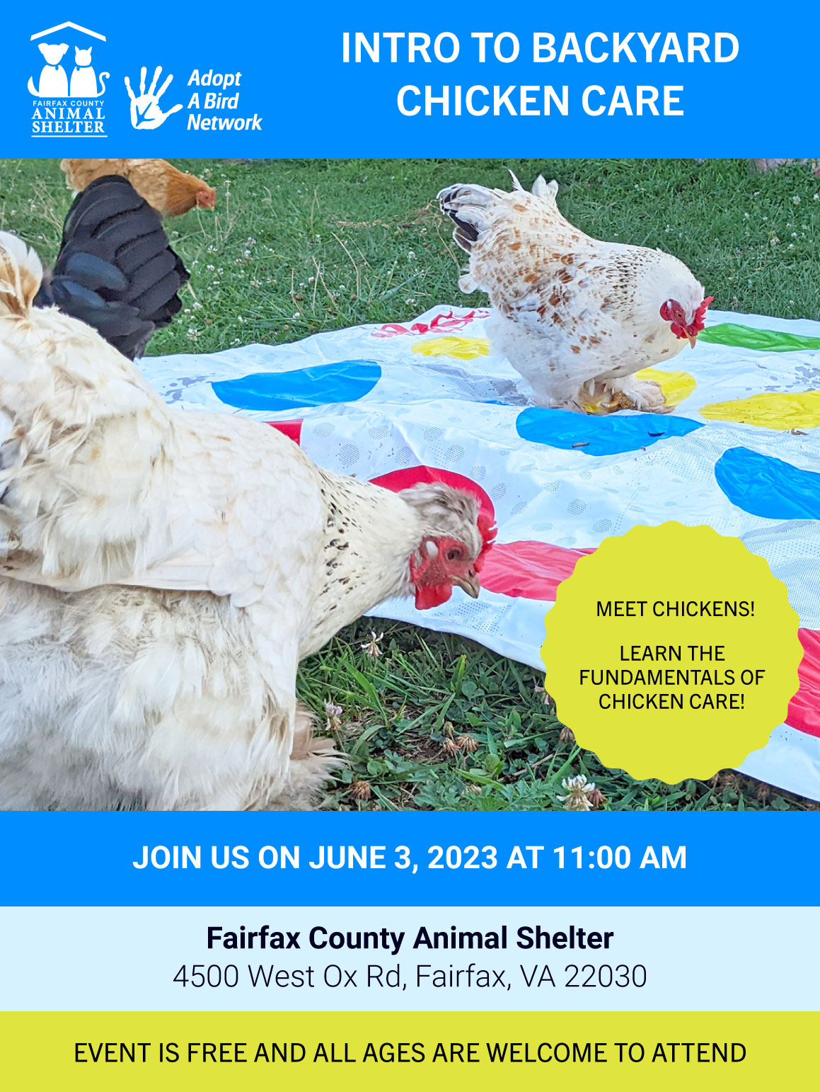 Intro to Backyard chicken care image preview