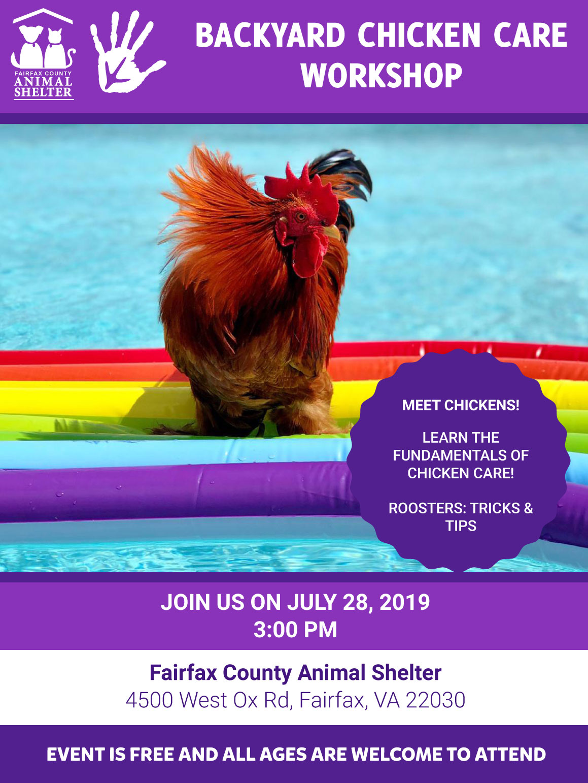 Backyard Chicken Care Workshop image preview