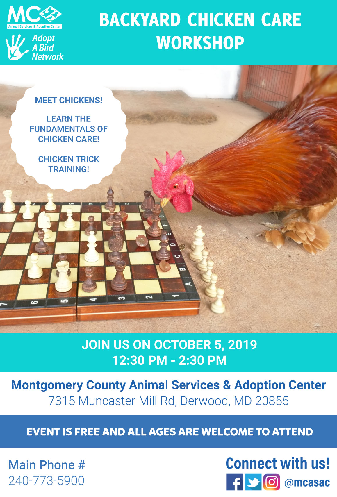 Backyard Chicken Care Workshop image preview